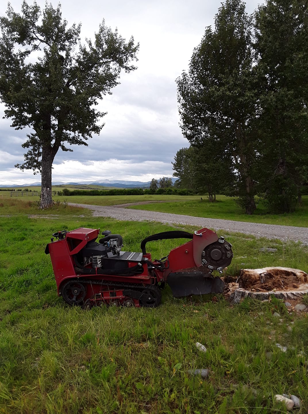 Frank's Stump Removal