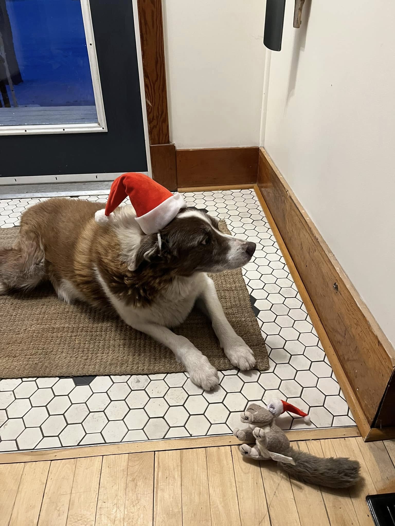 A.M. Caldwell Professional Corporation