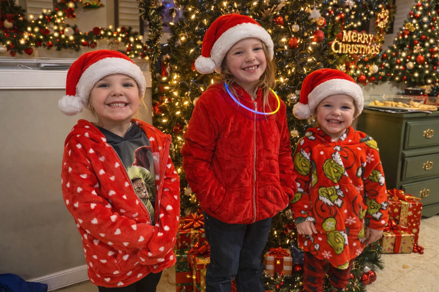 All About Dogs Innisfail