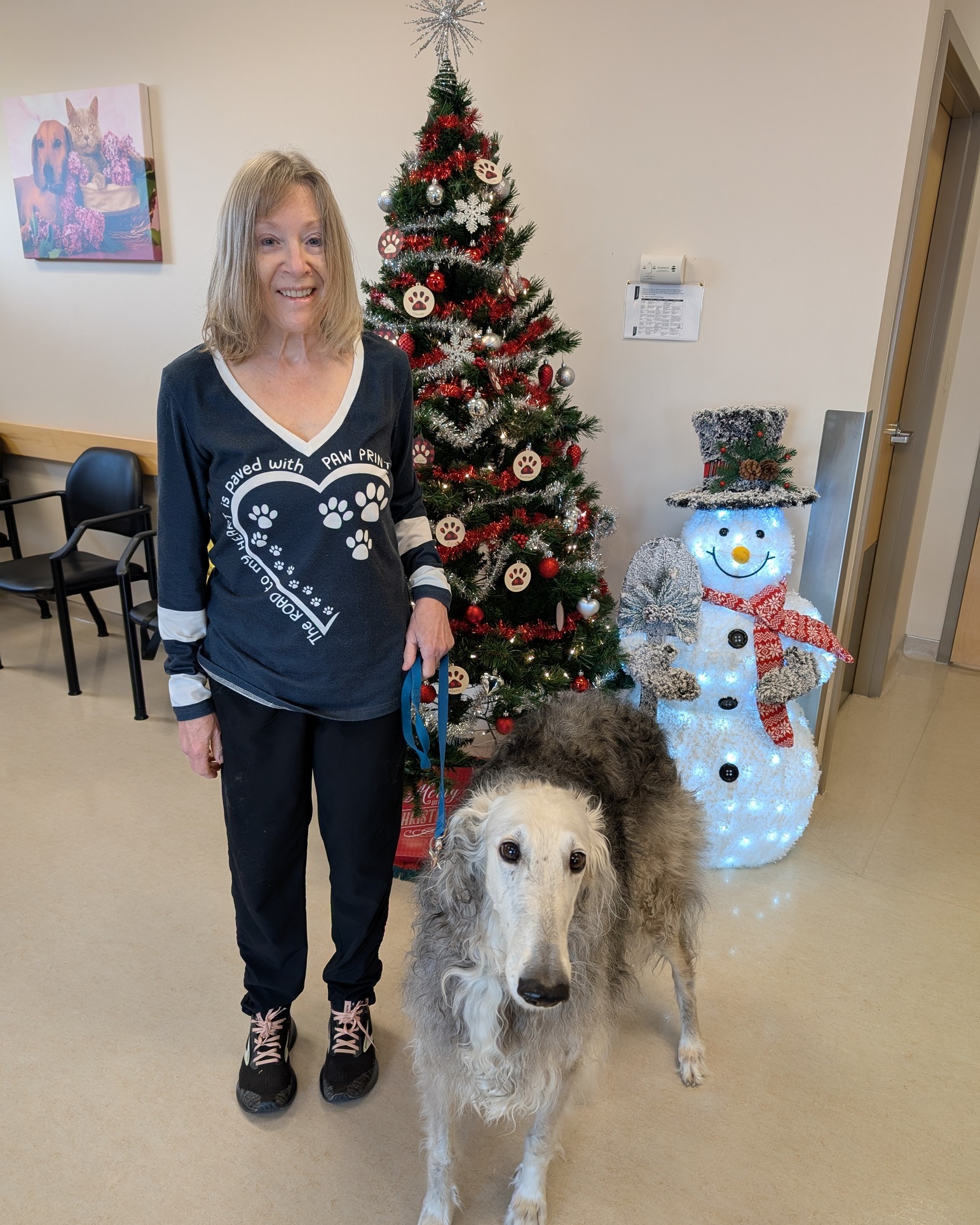 Chinook Pet Clinic Lethbridge