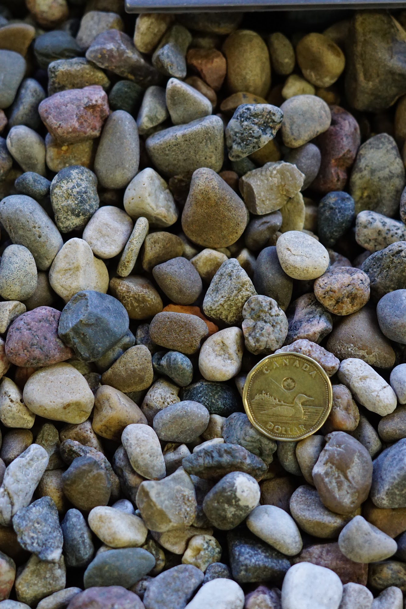 Landscape Depot Medicine Hat