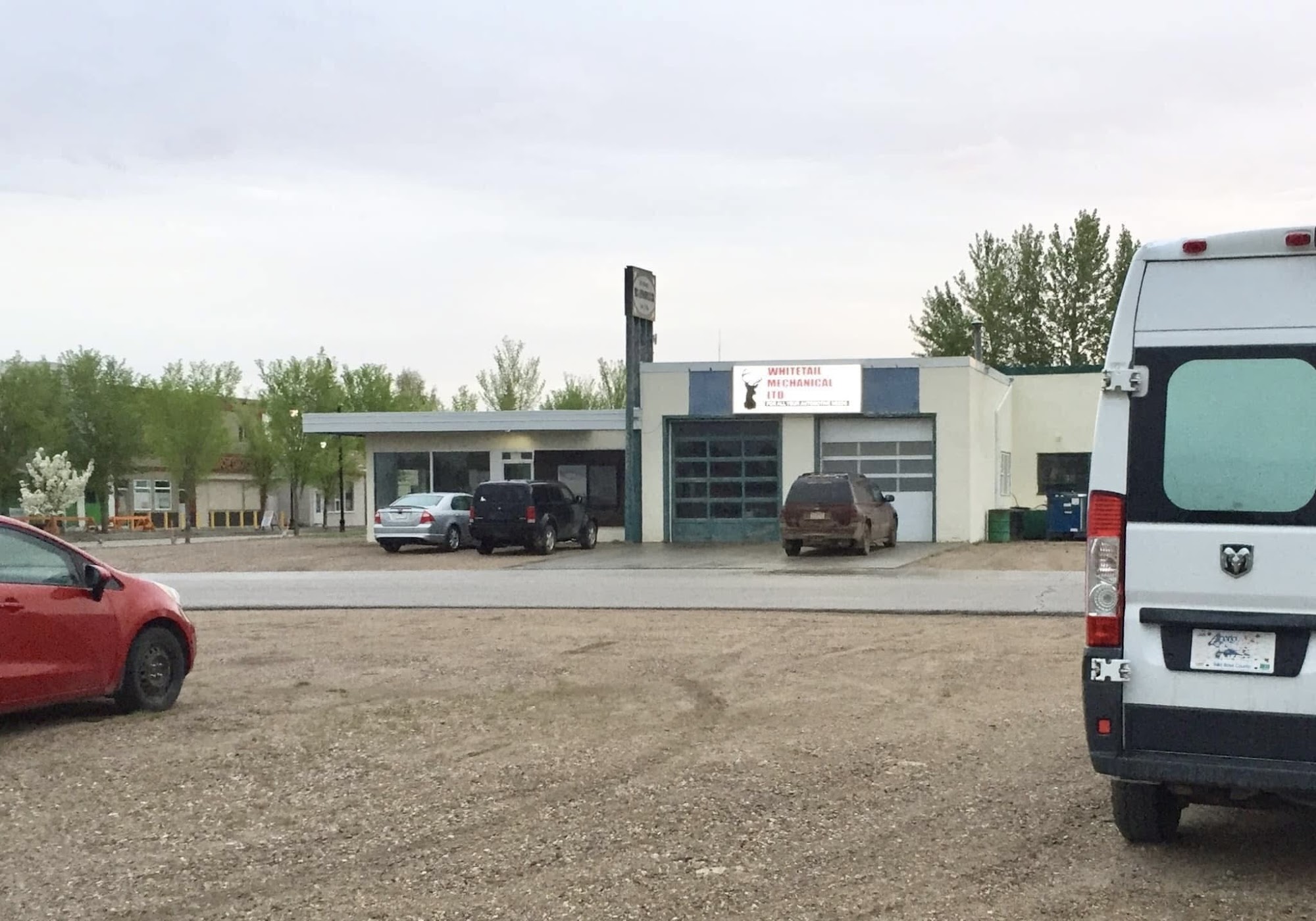 Whitetail Mechanical