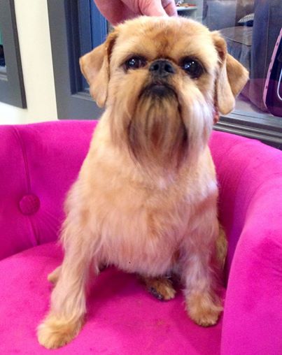 Okotoks Veterinary Clinic Okotoks