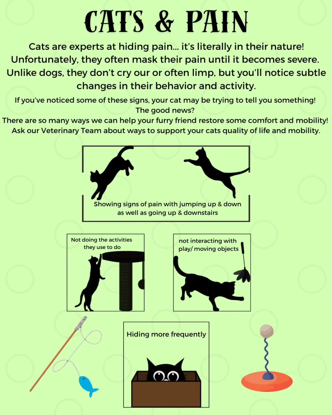 Okotoks Veterinary Clinic Okotoks
