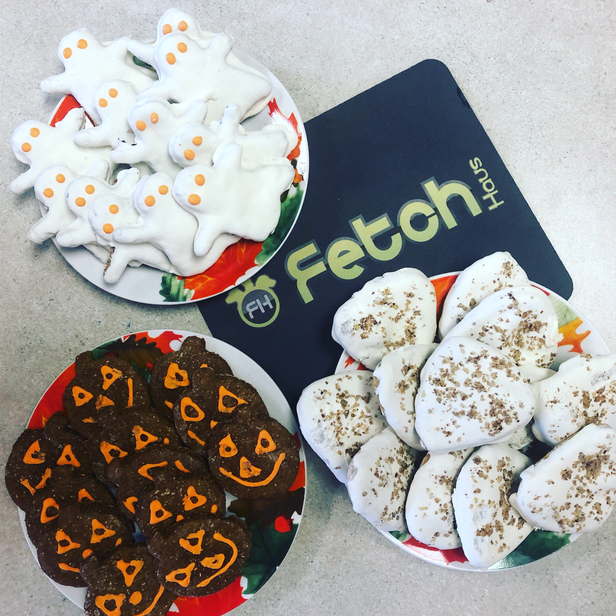 Fetch Haus Pet Grooming Salon and Specialty Store Red Deer