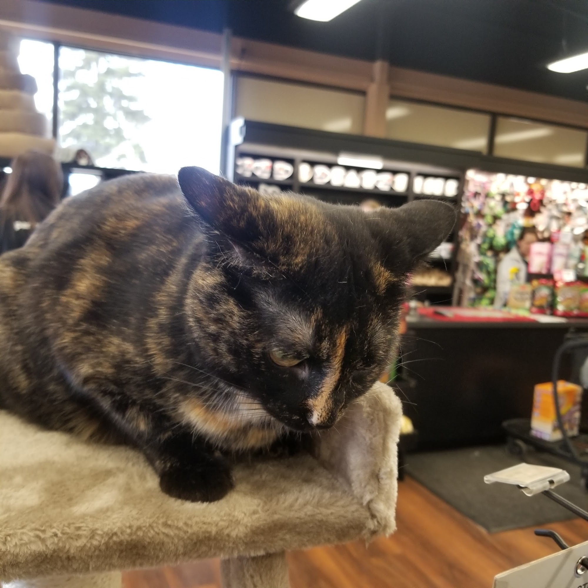 Pet Valu Red Deer
