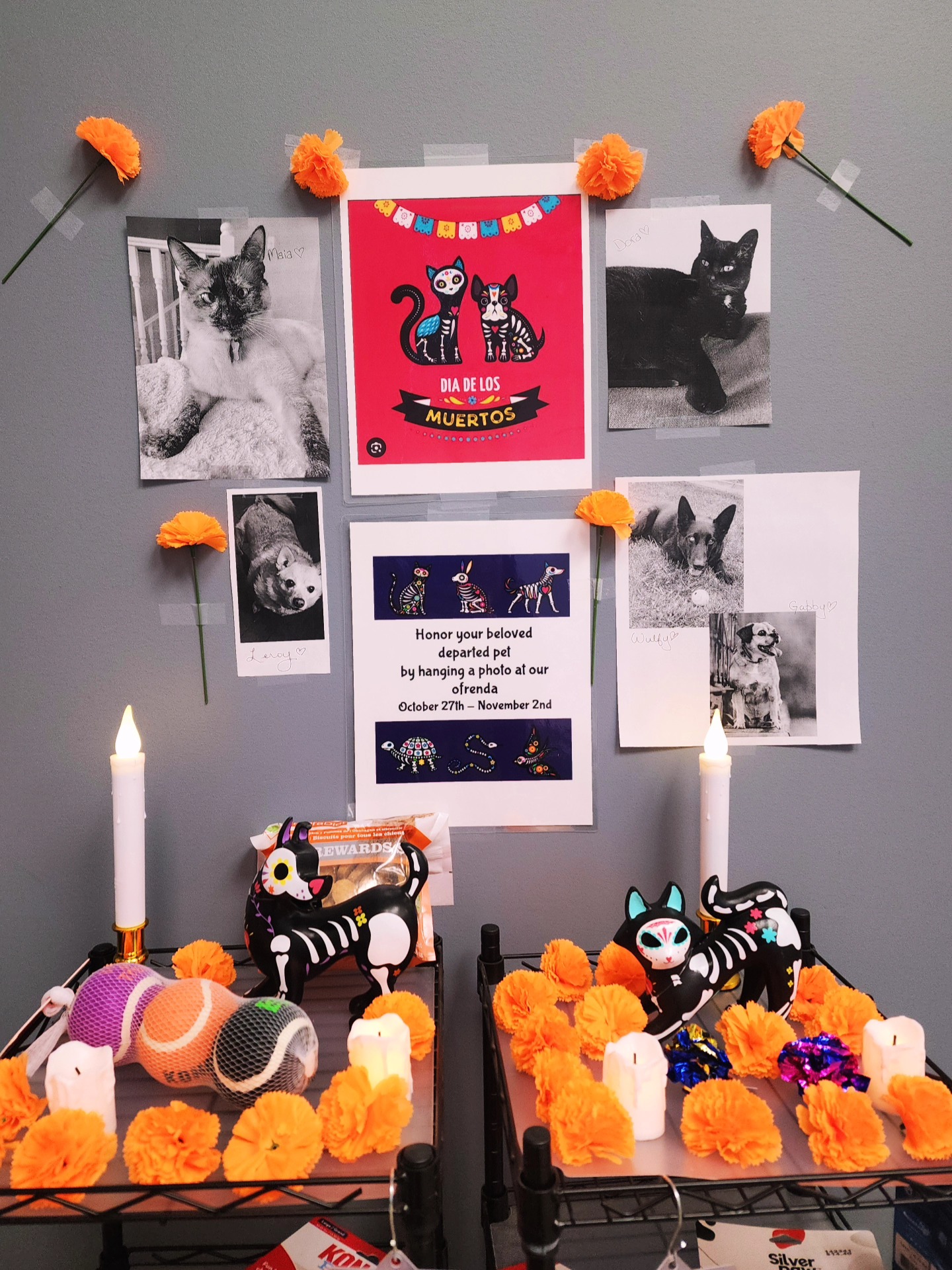 Aspen Trails Veterinary Clinic Sherwood Park