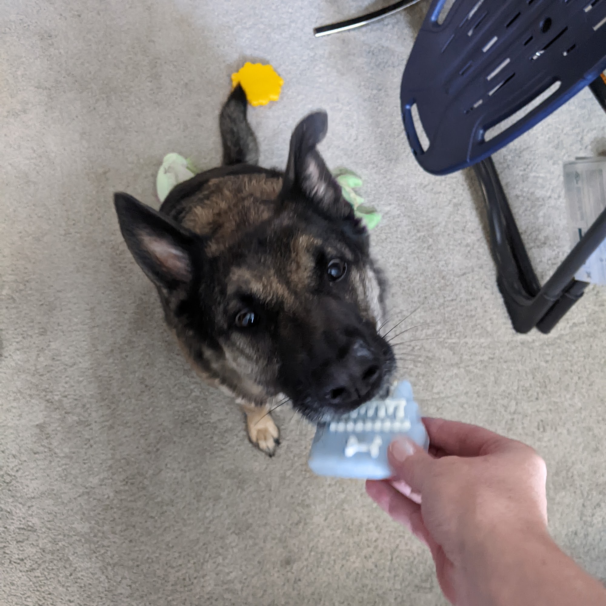 Pookey's Pet Food and Supplies Sherwood Park