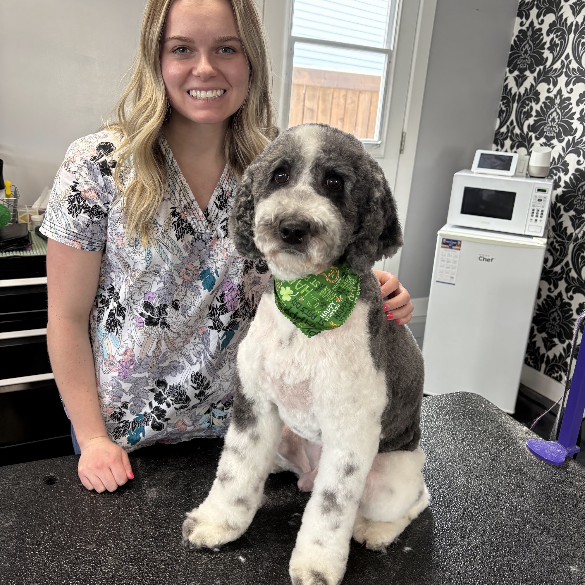 Fluff It Dog Grooming Sherwood Park