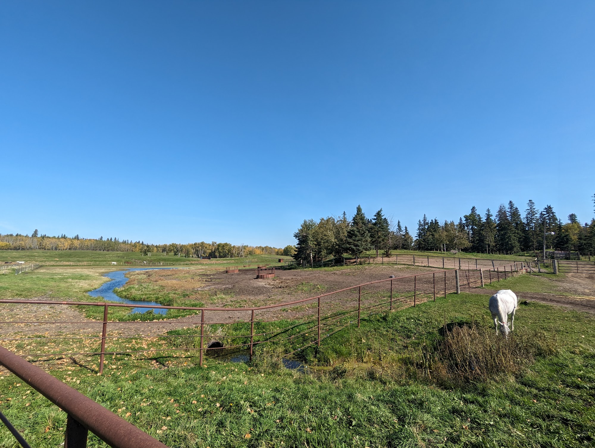 Keno Hills Stable & Tack Shop Ltd Sherwood Park