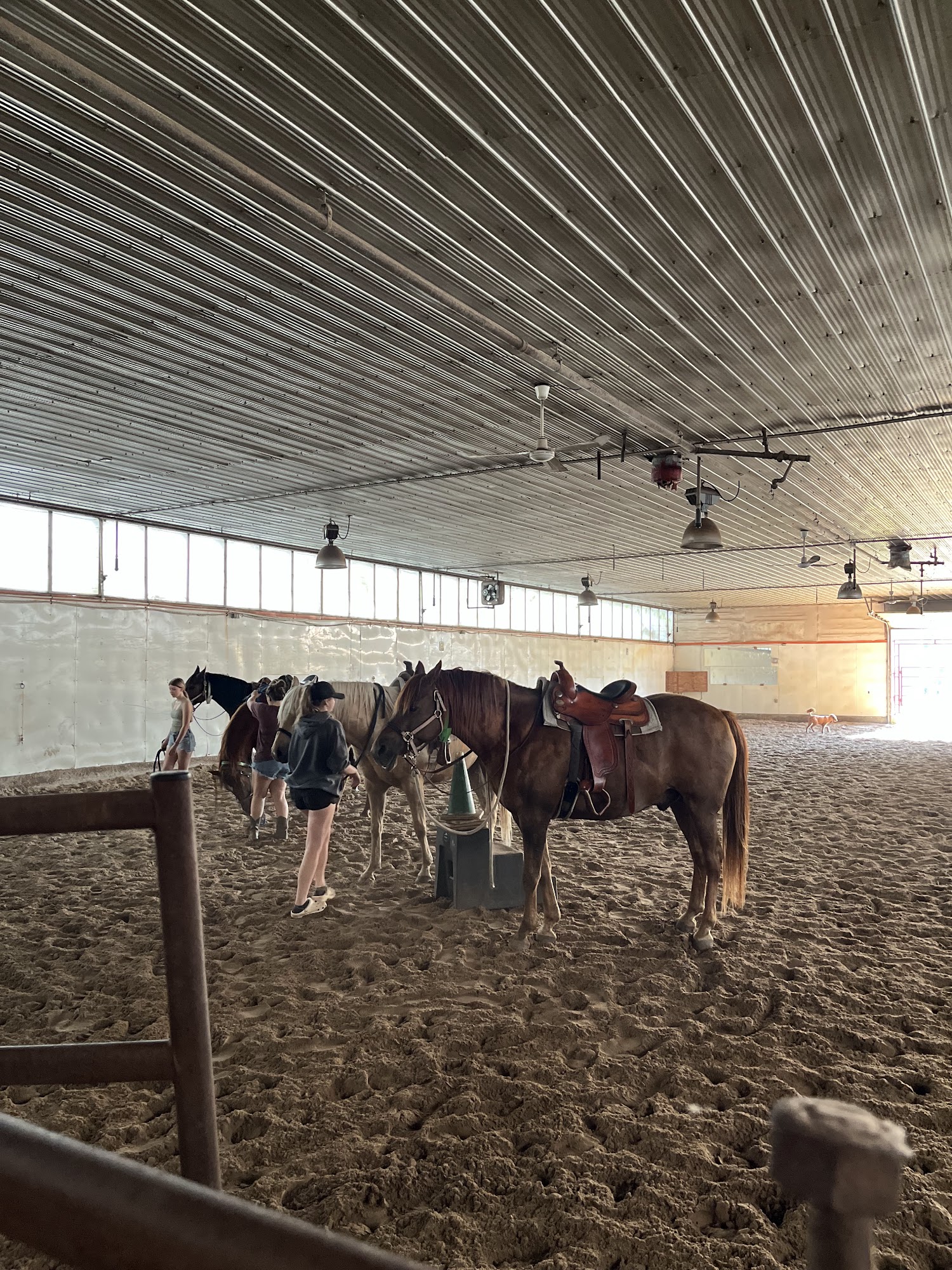 Keno Hills Stable & Tack Shop Ltd Sherwood Park