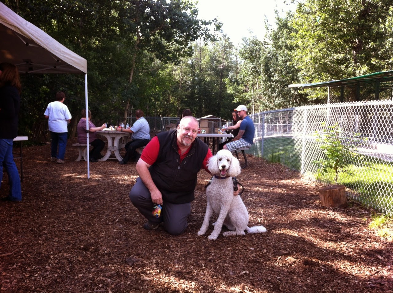 Barkers Pet Motel & Grooming St. Albert