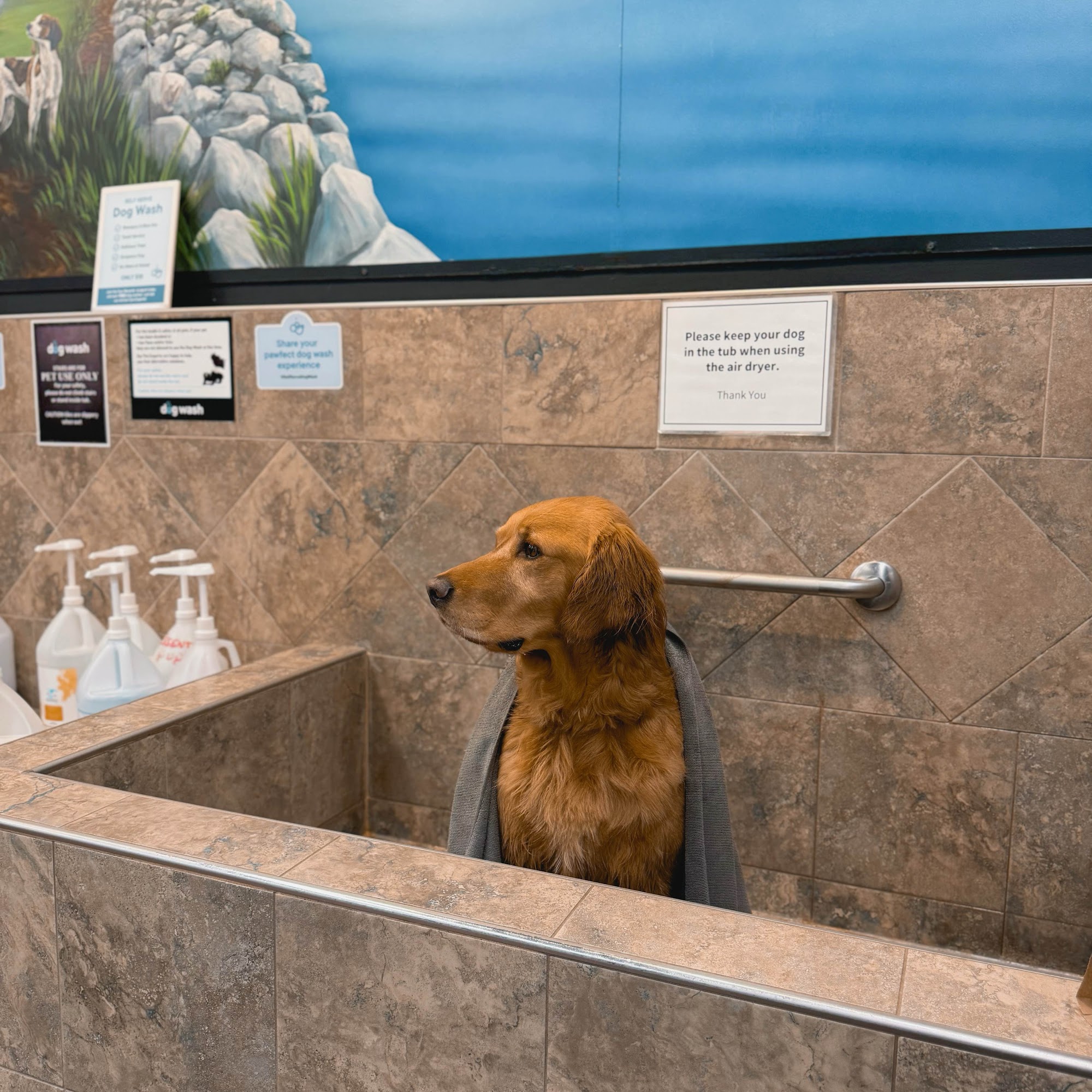 Pet Valu Sylvan Lake