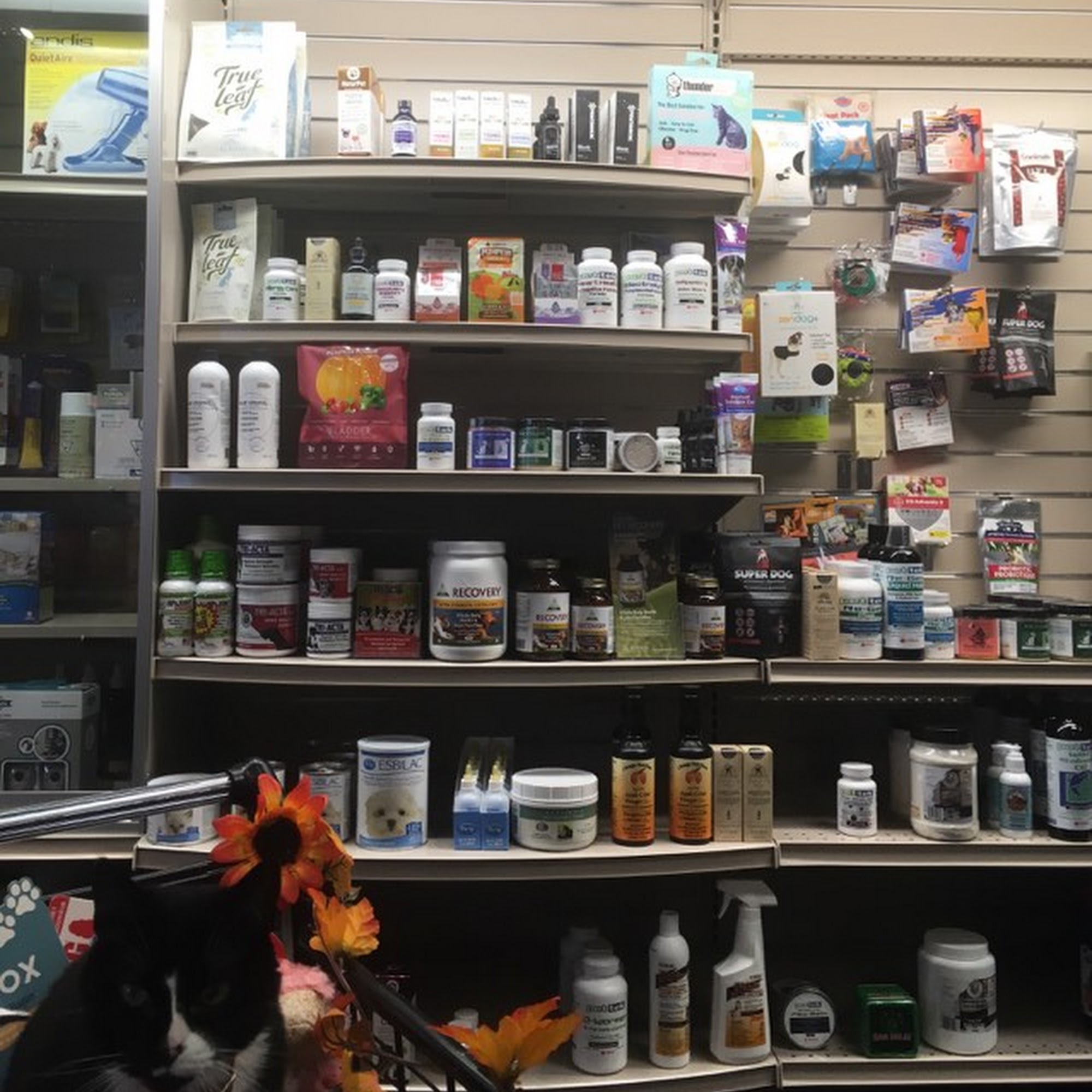 Global Pet Foods Sylvan Lake Sylvan Lake