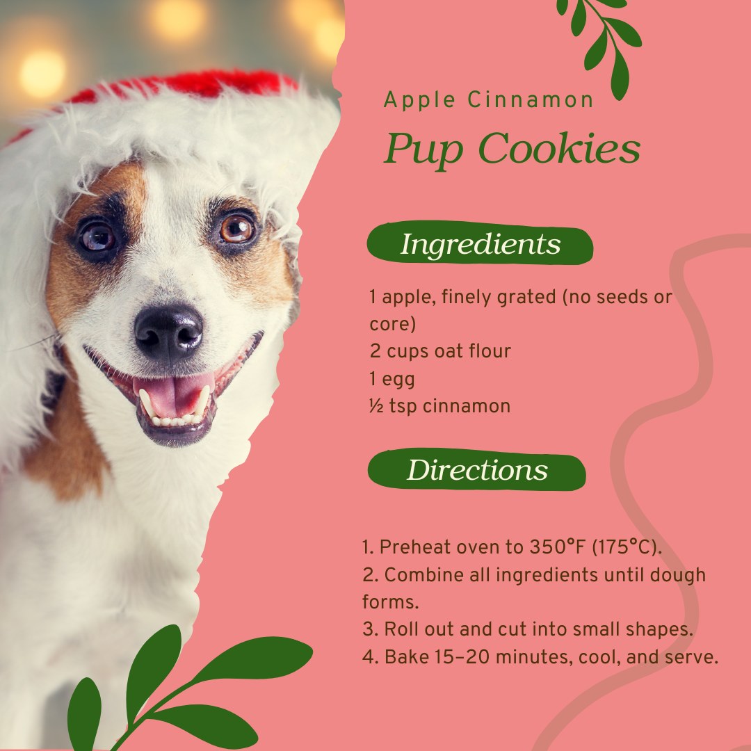 Parkland Veterinary Hospital Ltd Sylvan Lake