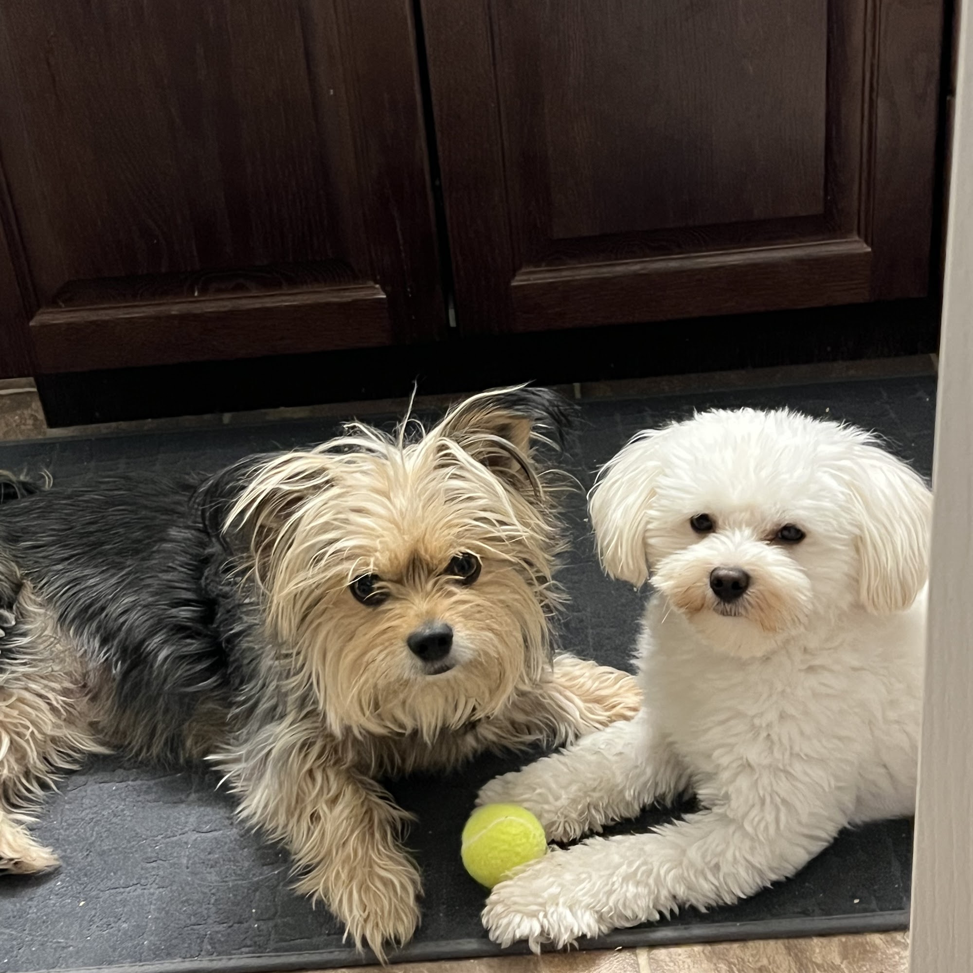 Parkland Veterinary Hospital Ltd Sylvan Lake