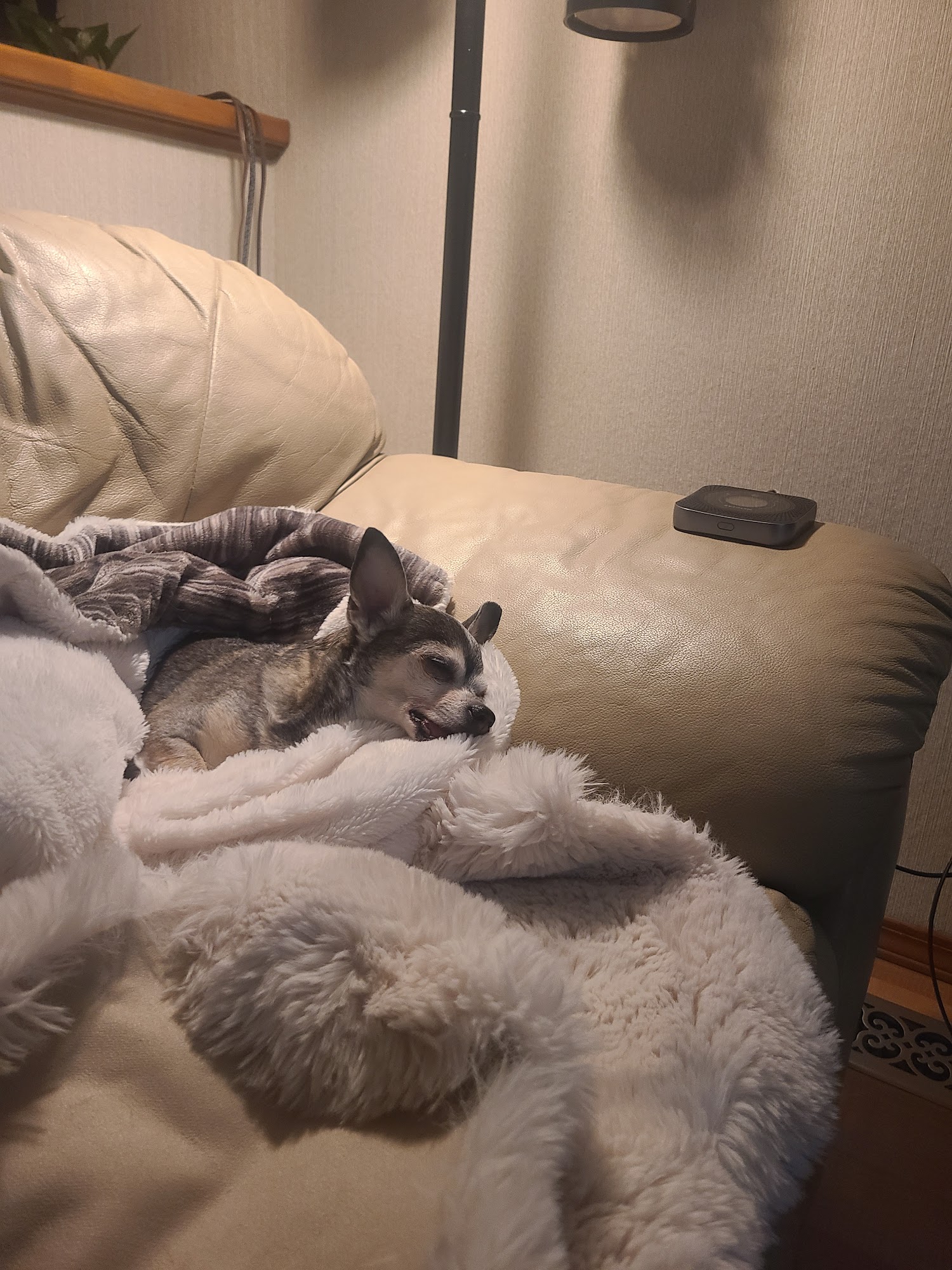 Alaska Equine & Small Animal Anchorage