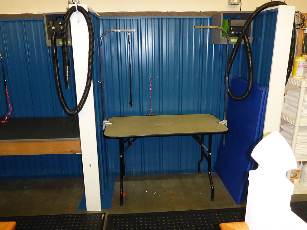 Alaska K9 Aquatics Anchorage