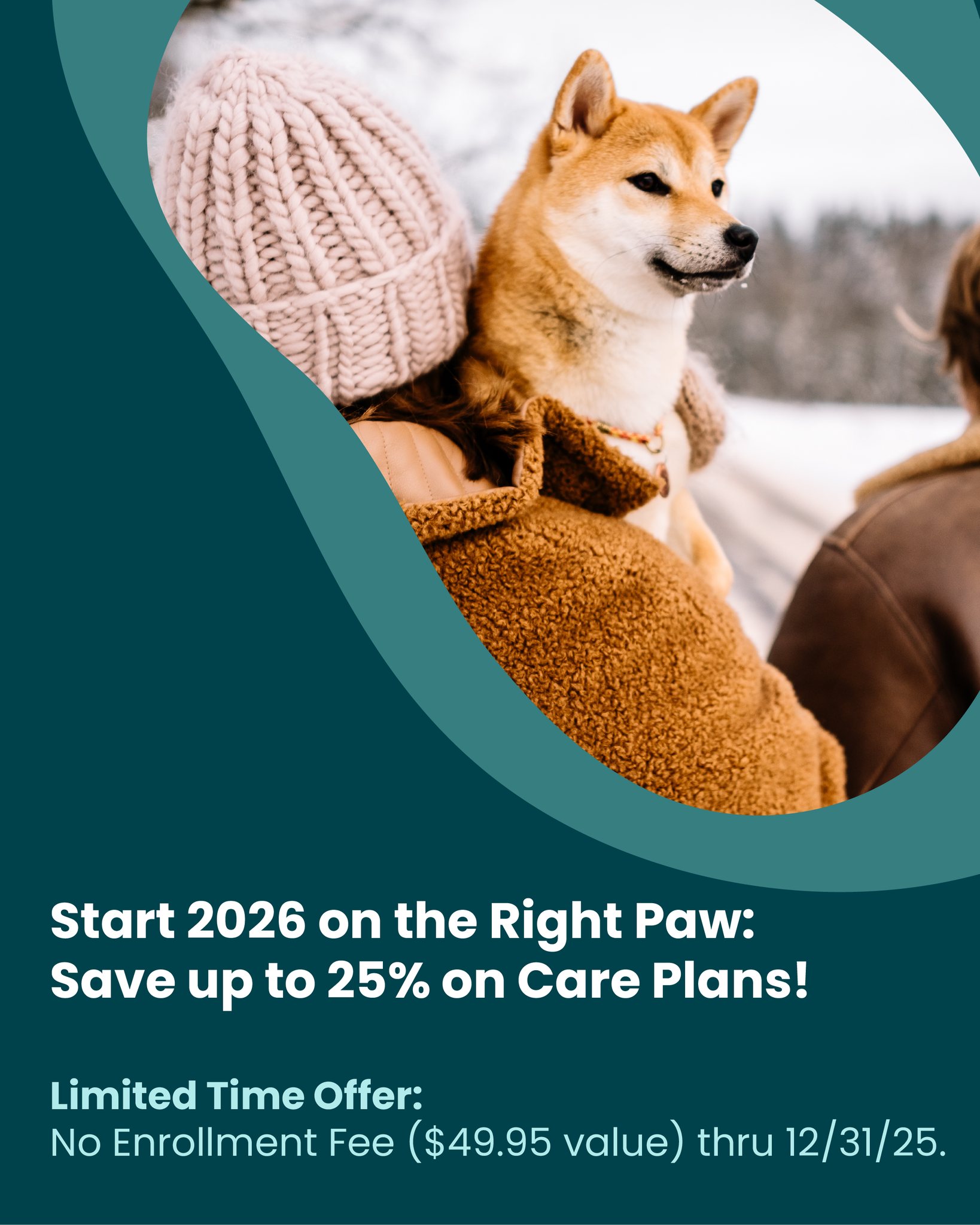 Hillside Pet Clinic Anchorage