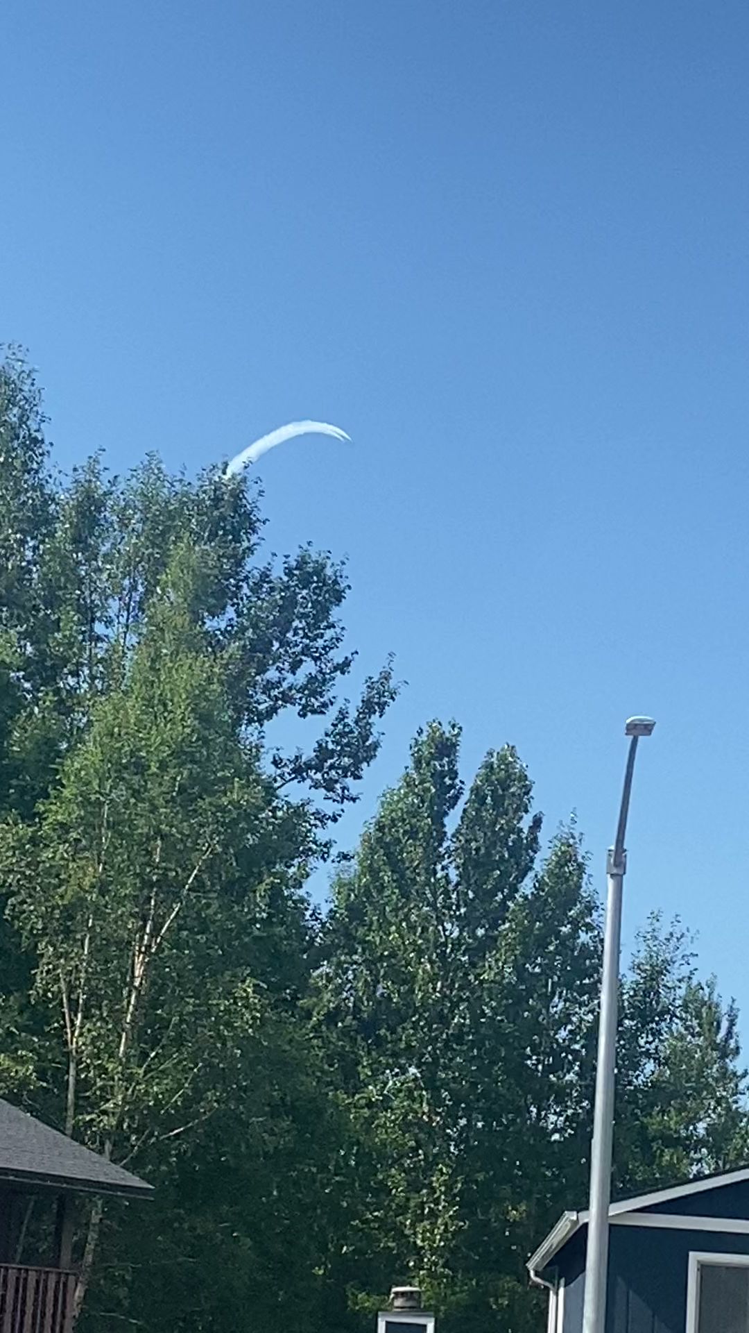 Forget-Me-Not Ferret Rescue Anchorage