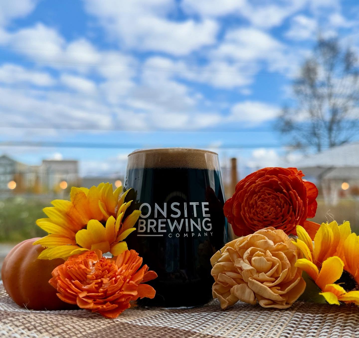 Onsite Brewing Company Anchorage