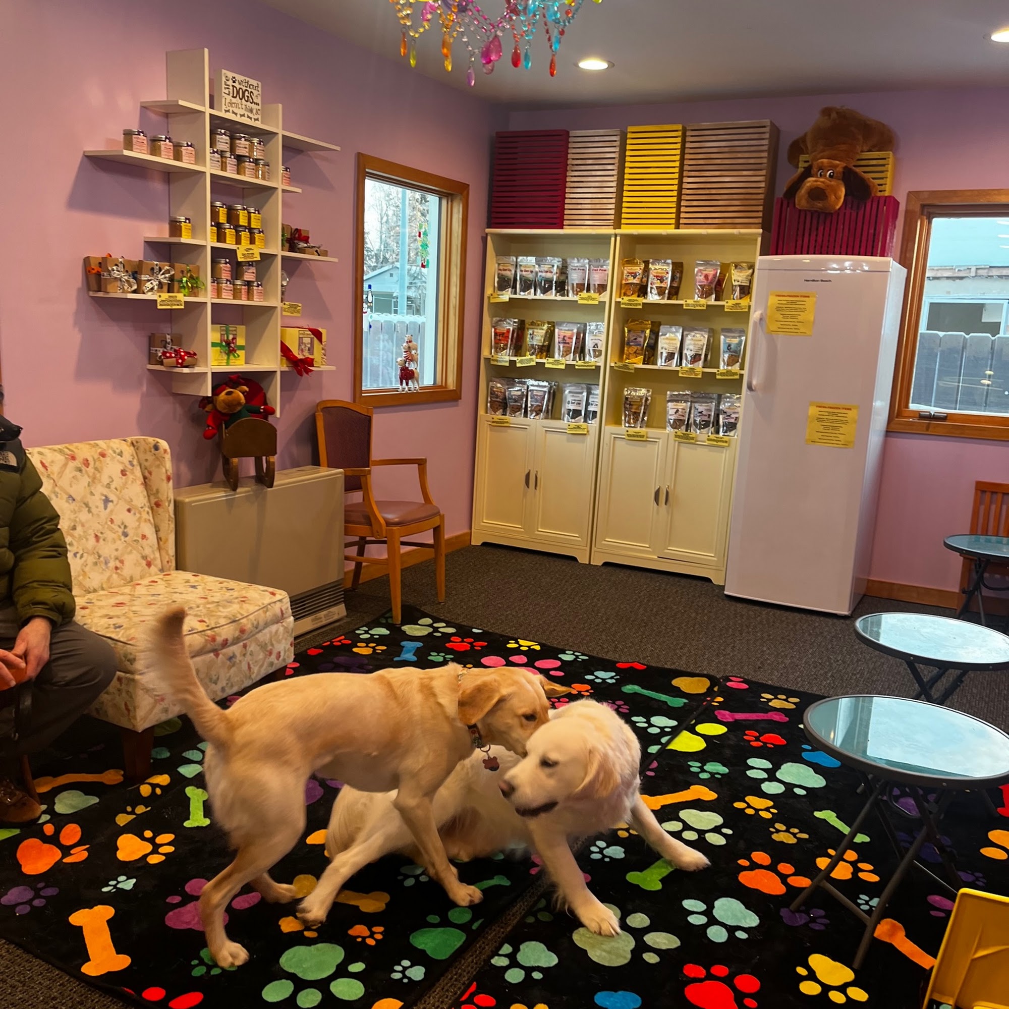 Drool Central: A Mum & Pup Barkery LLC Anchorage