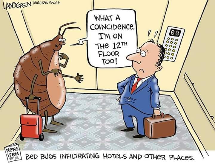 Alaska Bed Bug Solutions