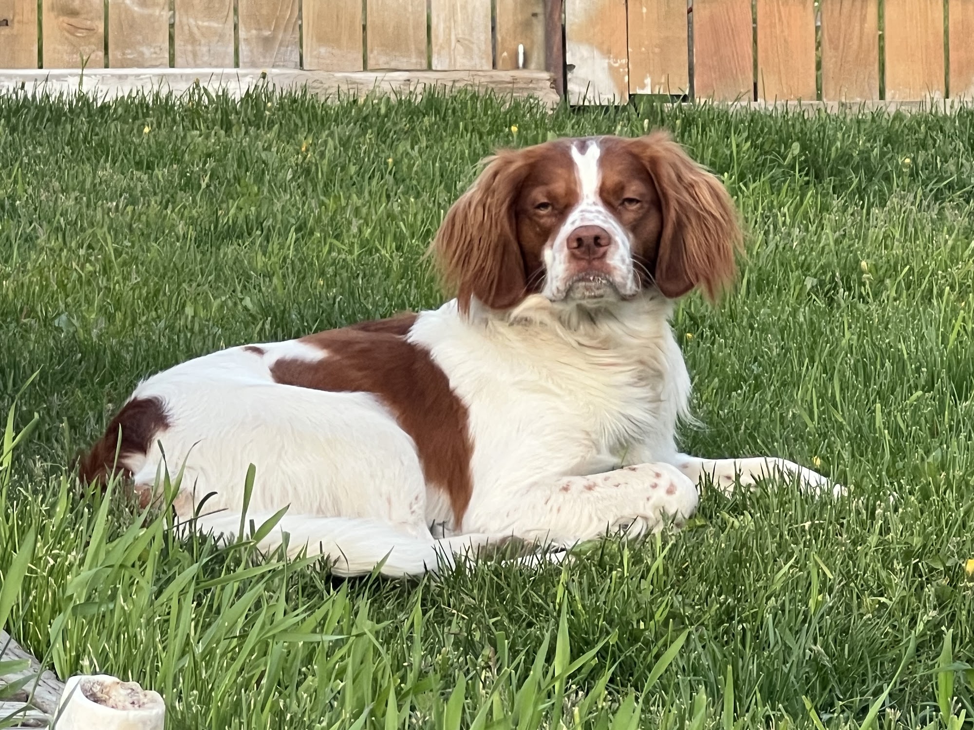 Anchorage Veterinary Clinic and Urgent Care Anchorage