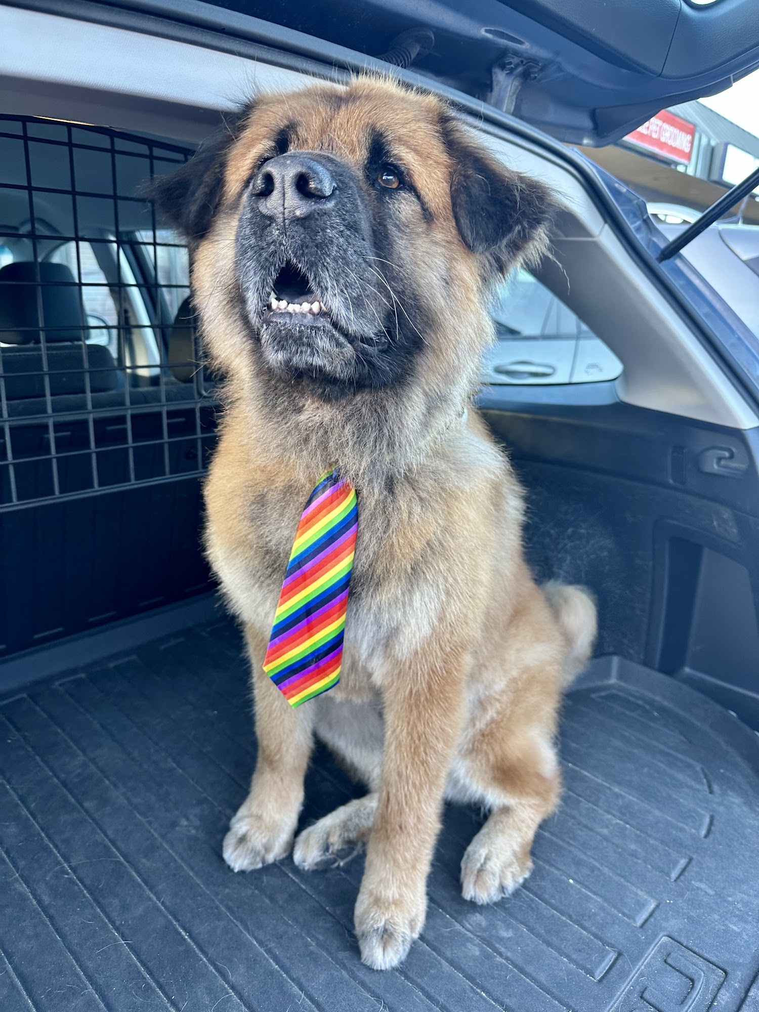 Adorable Pets Eagle River