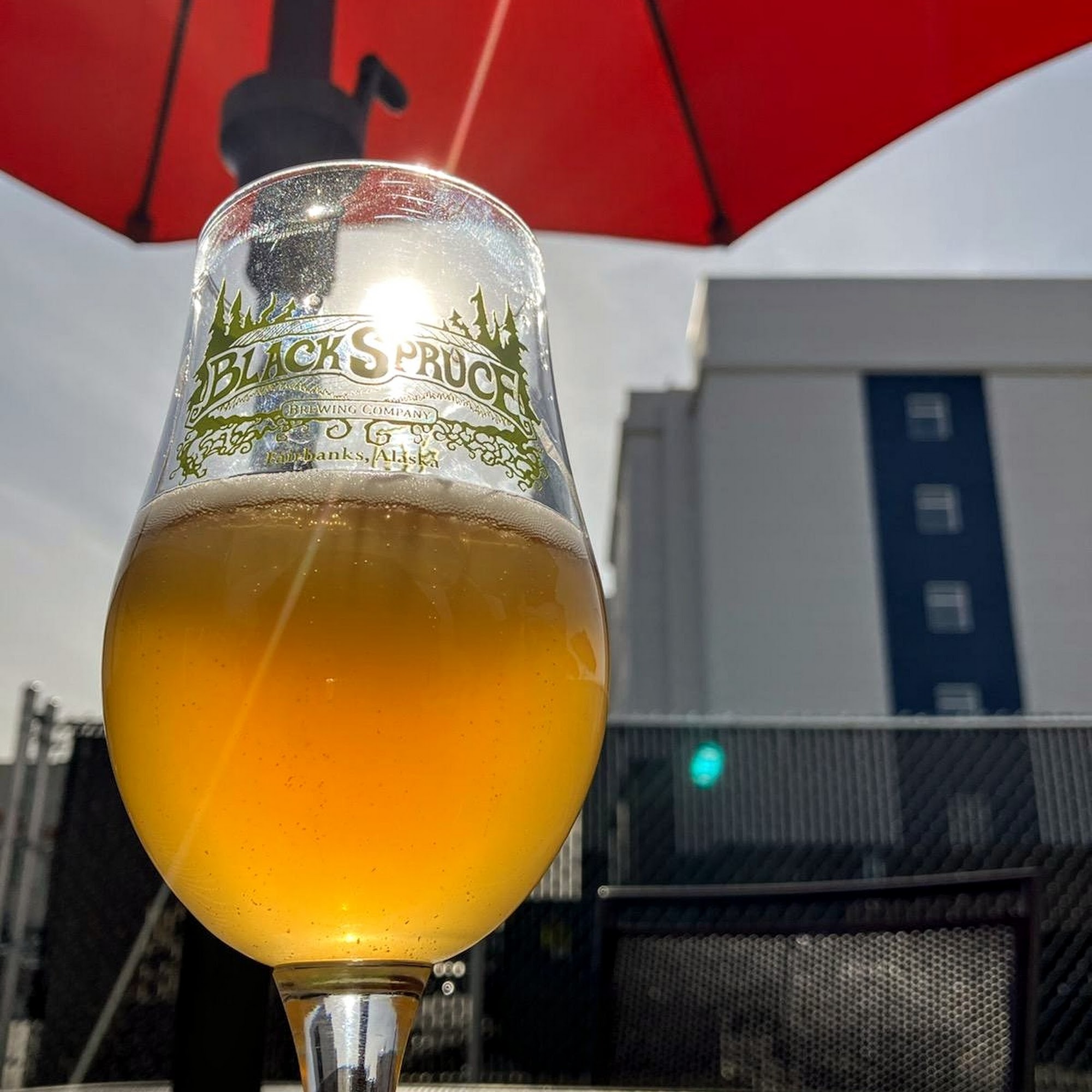 Black Spruce Brewing Company Fairbanks