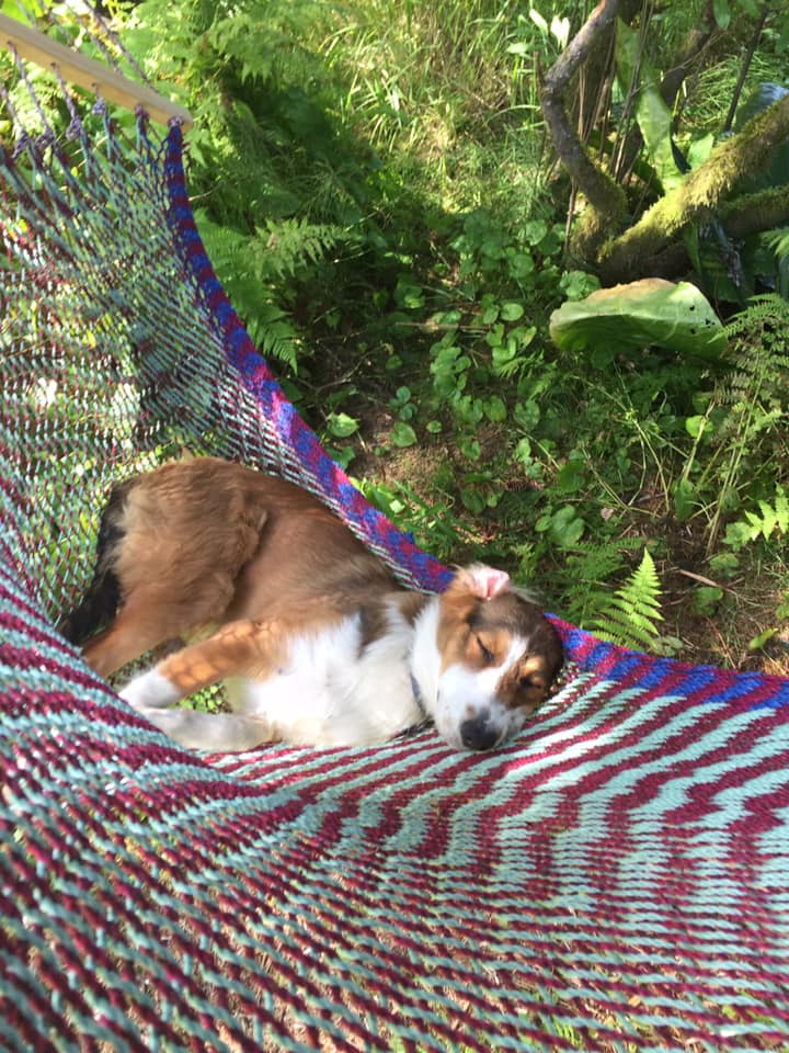 A Dance of Hands Massage