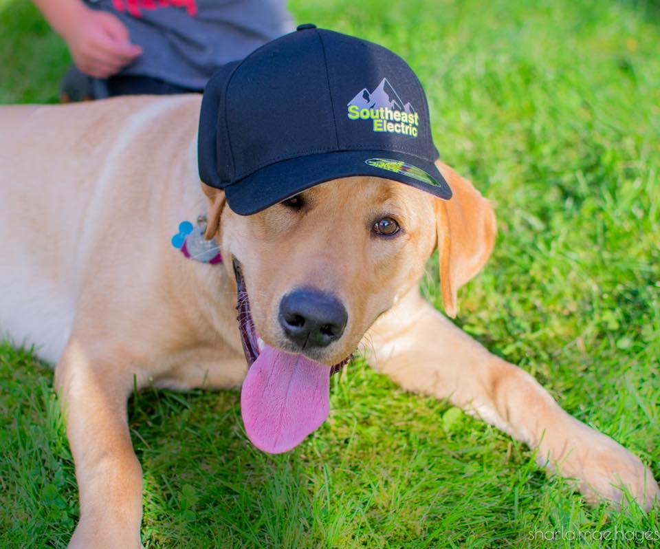 Southeast Electric LLC