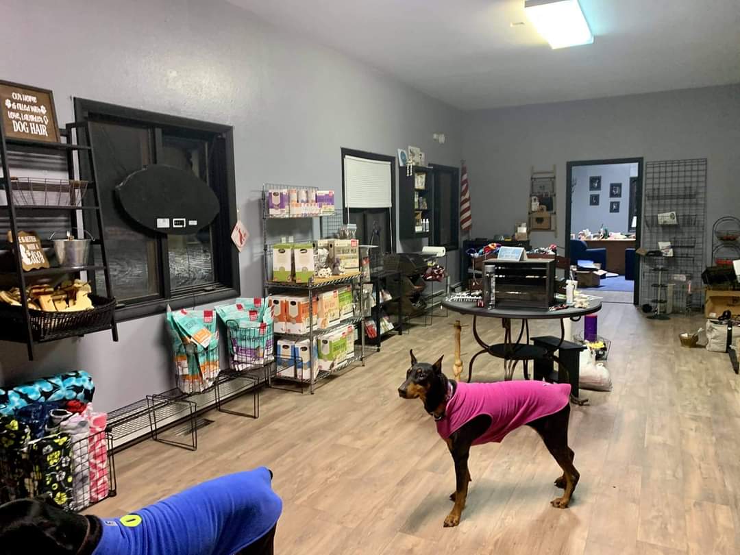 Alaska K9 Center 3121 Badger Rd, North Pole Alaska 99705