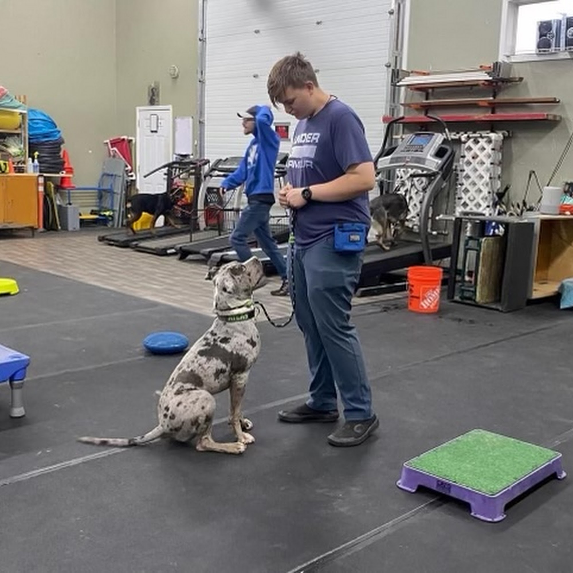 Alaska Dog Boarding & Training Inc Palmer