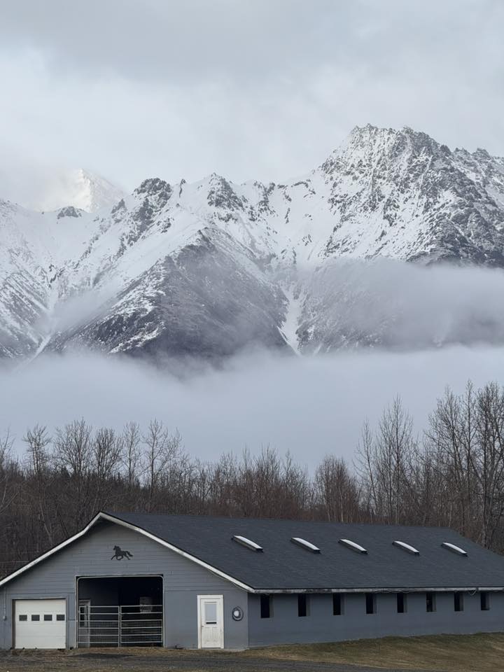 Knik River Veterinary Services, LLC Palmer