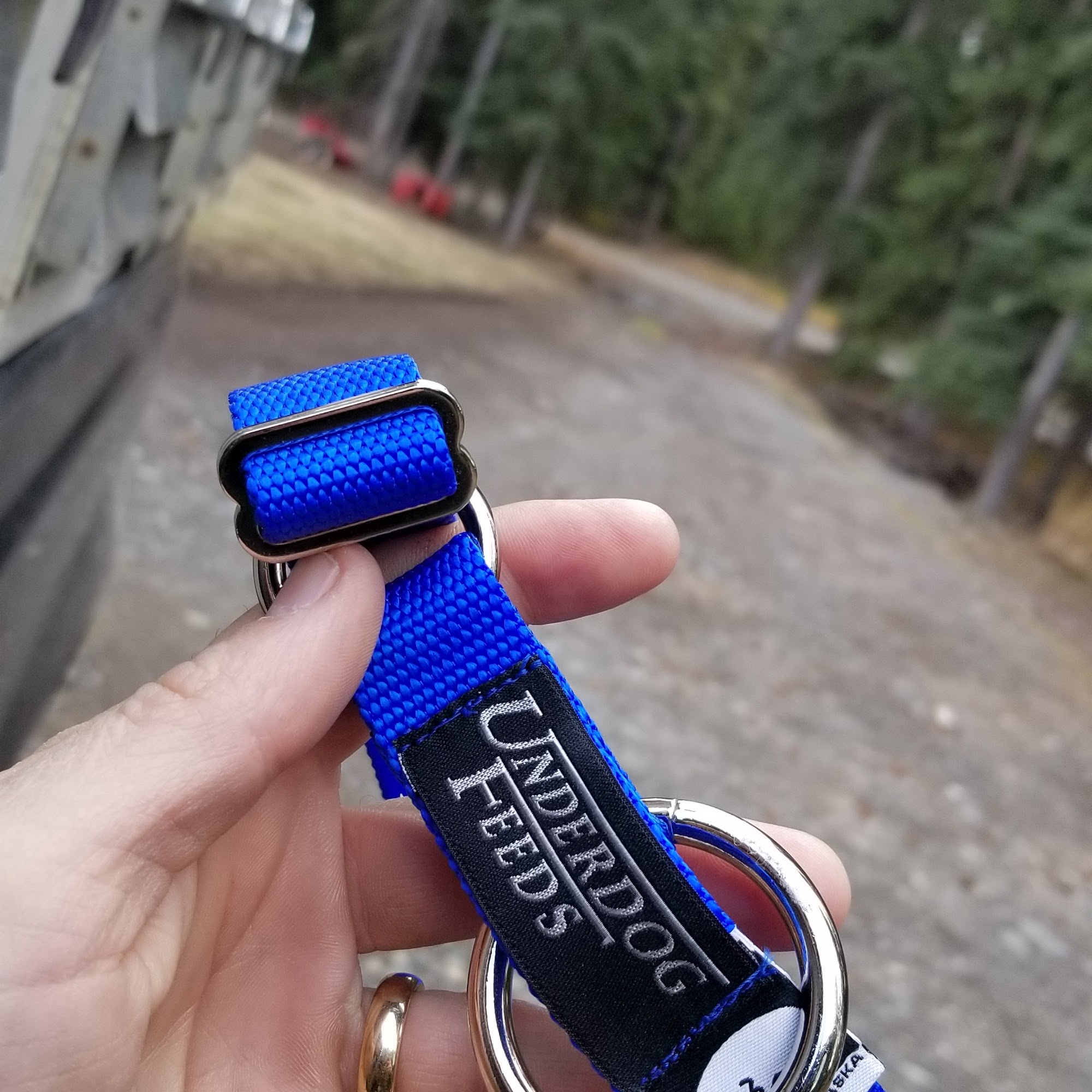 Underdog Feeds Wasilla