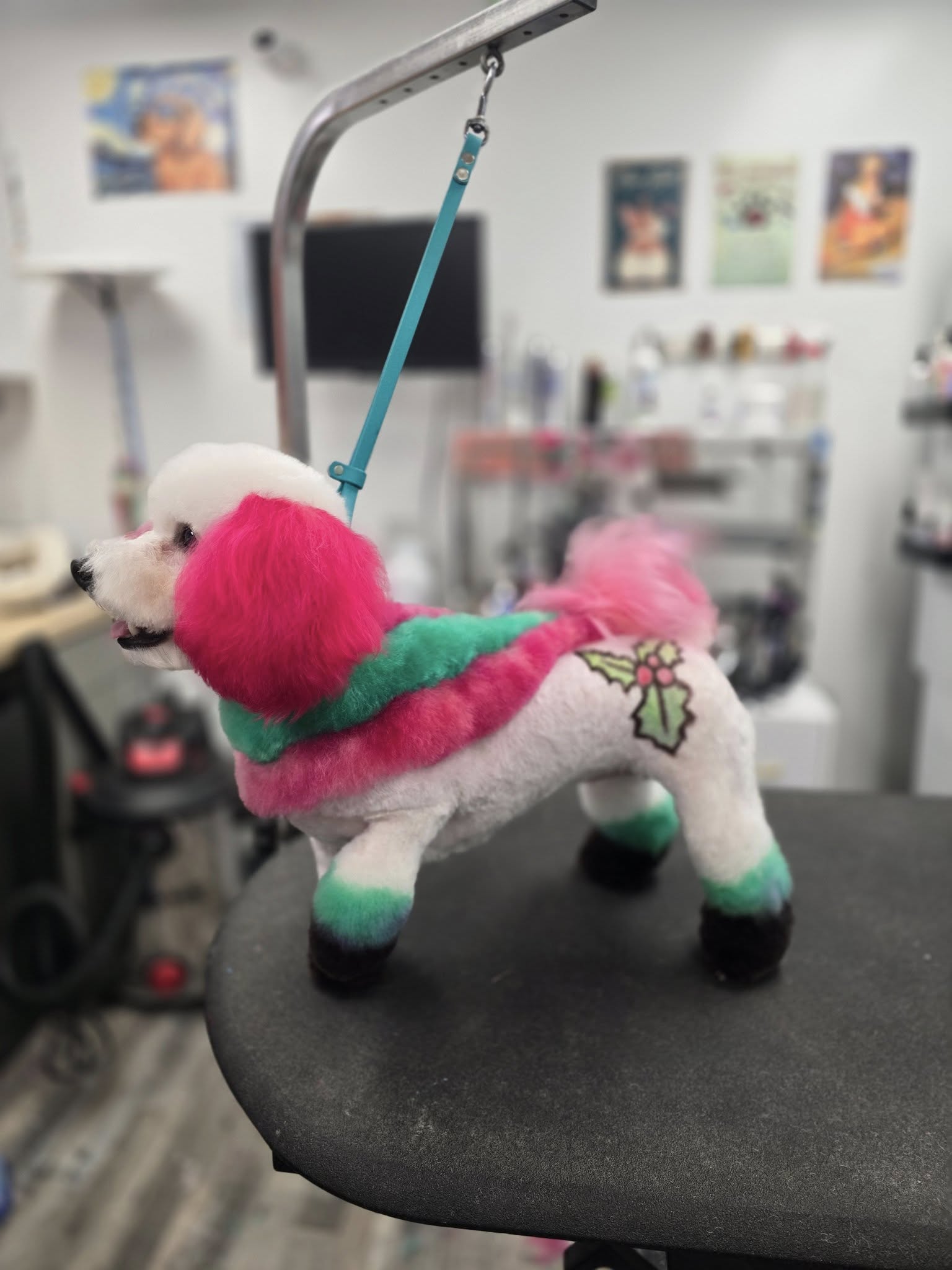 Beauty for the Beast Wasilla