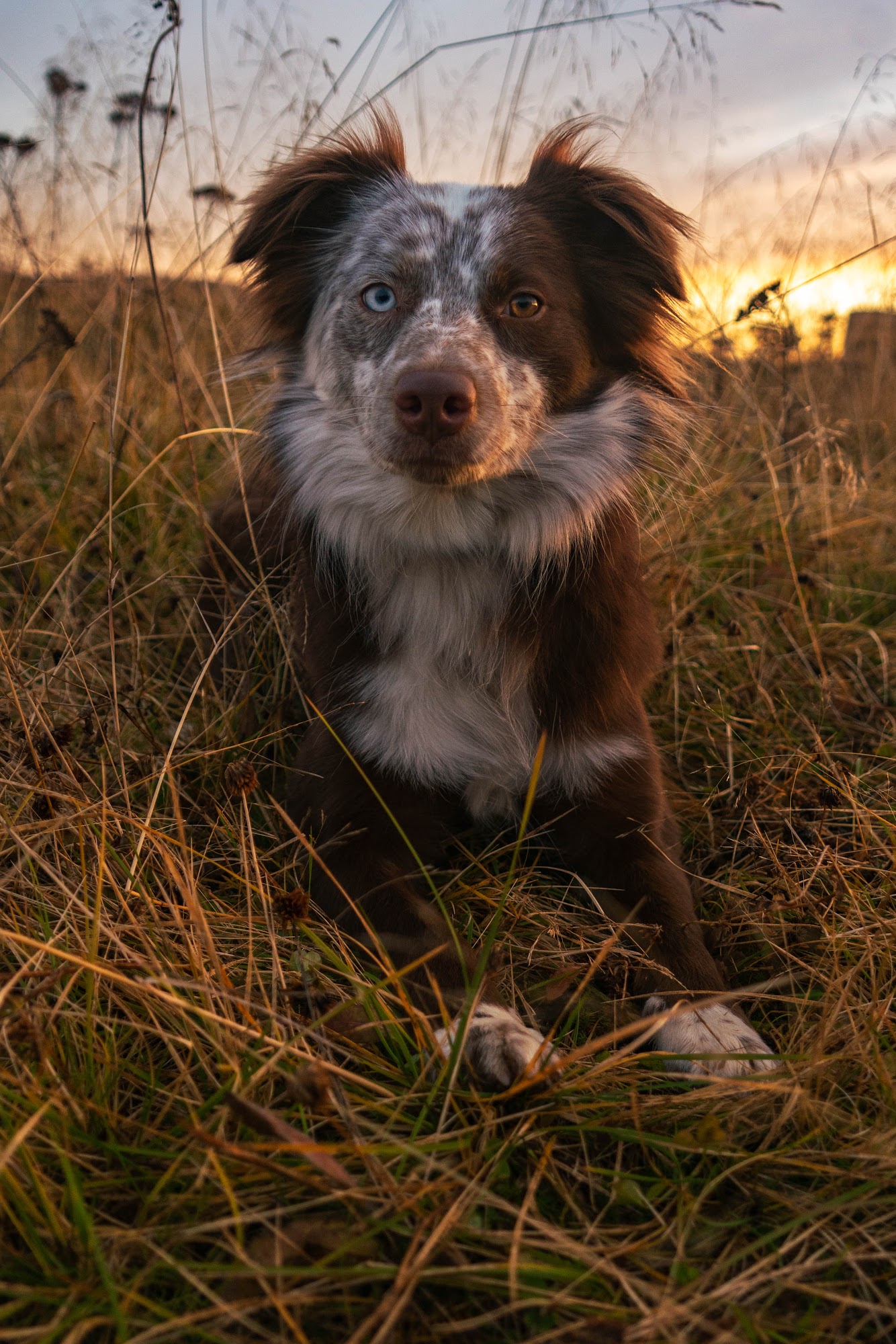 NOSE TO THE GRIND Wasilla