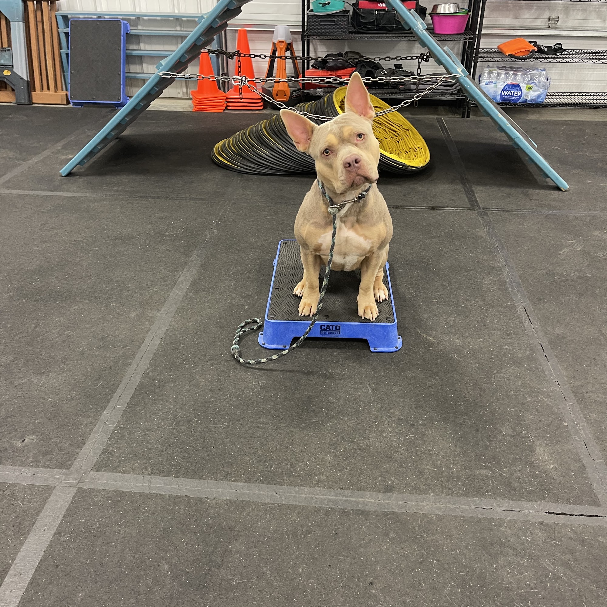 NOSE TO THE GRIND Wasilla