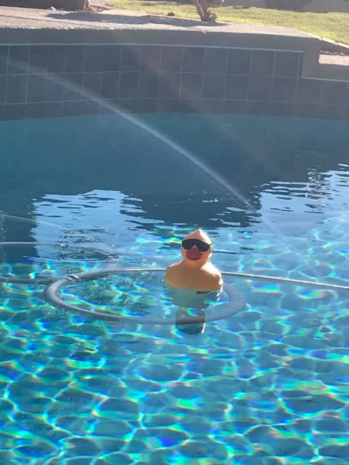 Islander restaurant and bar