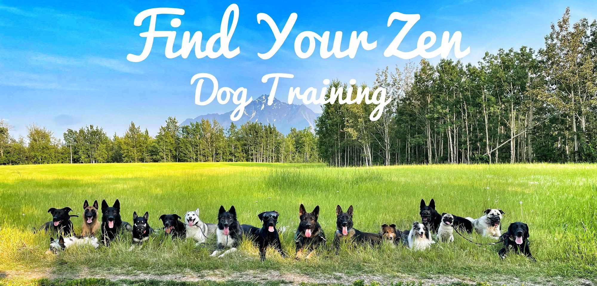 Find Your Zen Dog Training