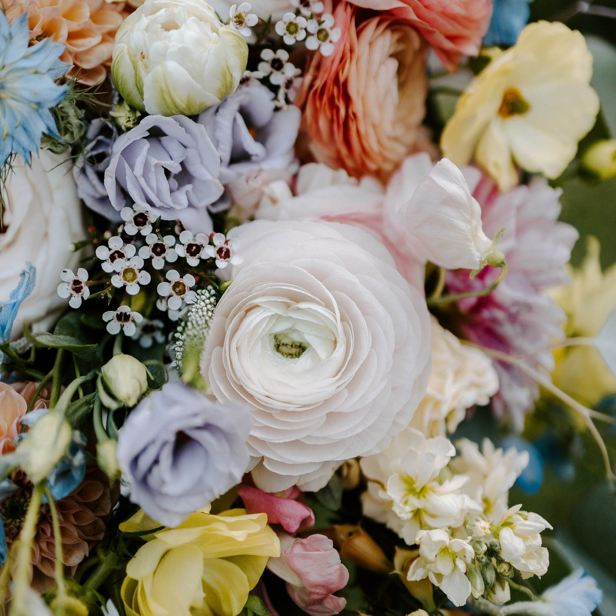 Fleurish, the art of flowers