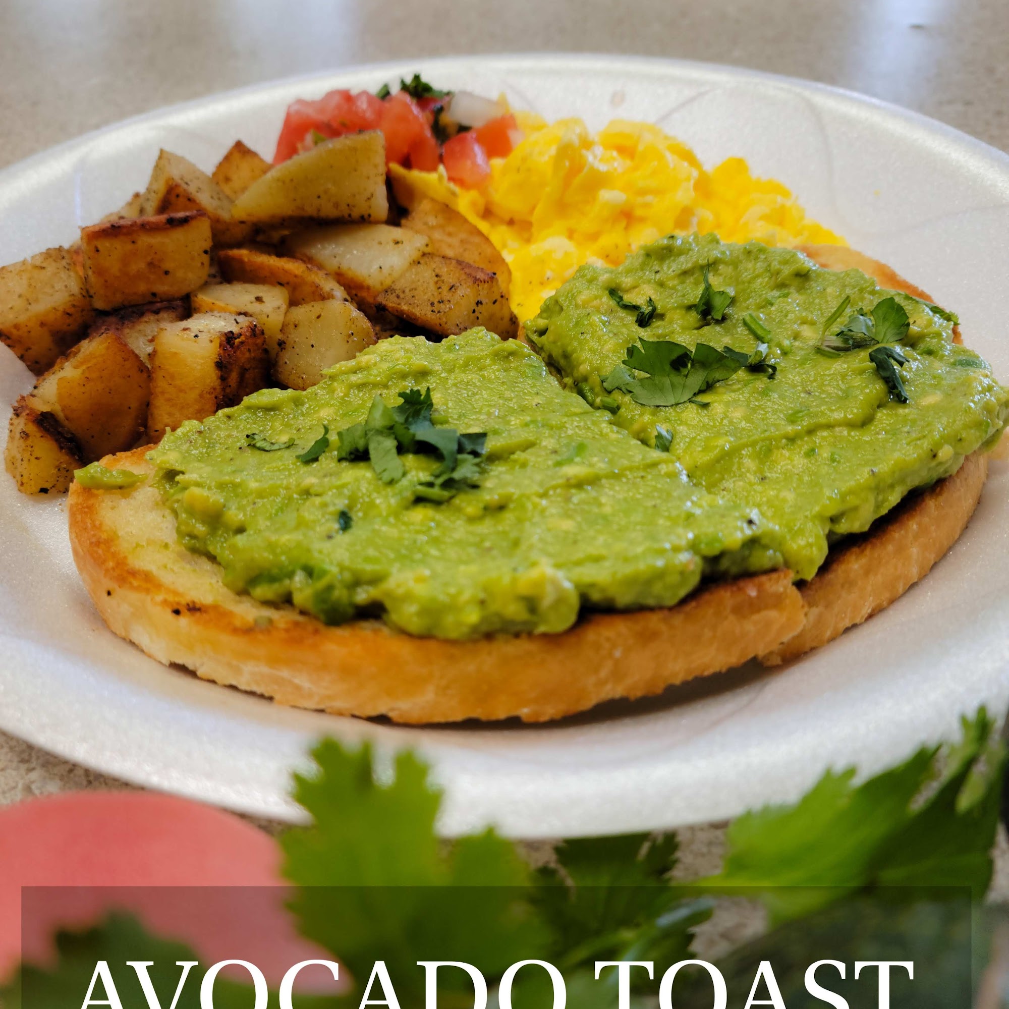 Los Angeles Burrito Alabaster Alabaster