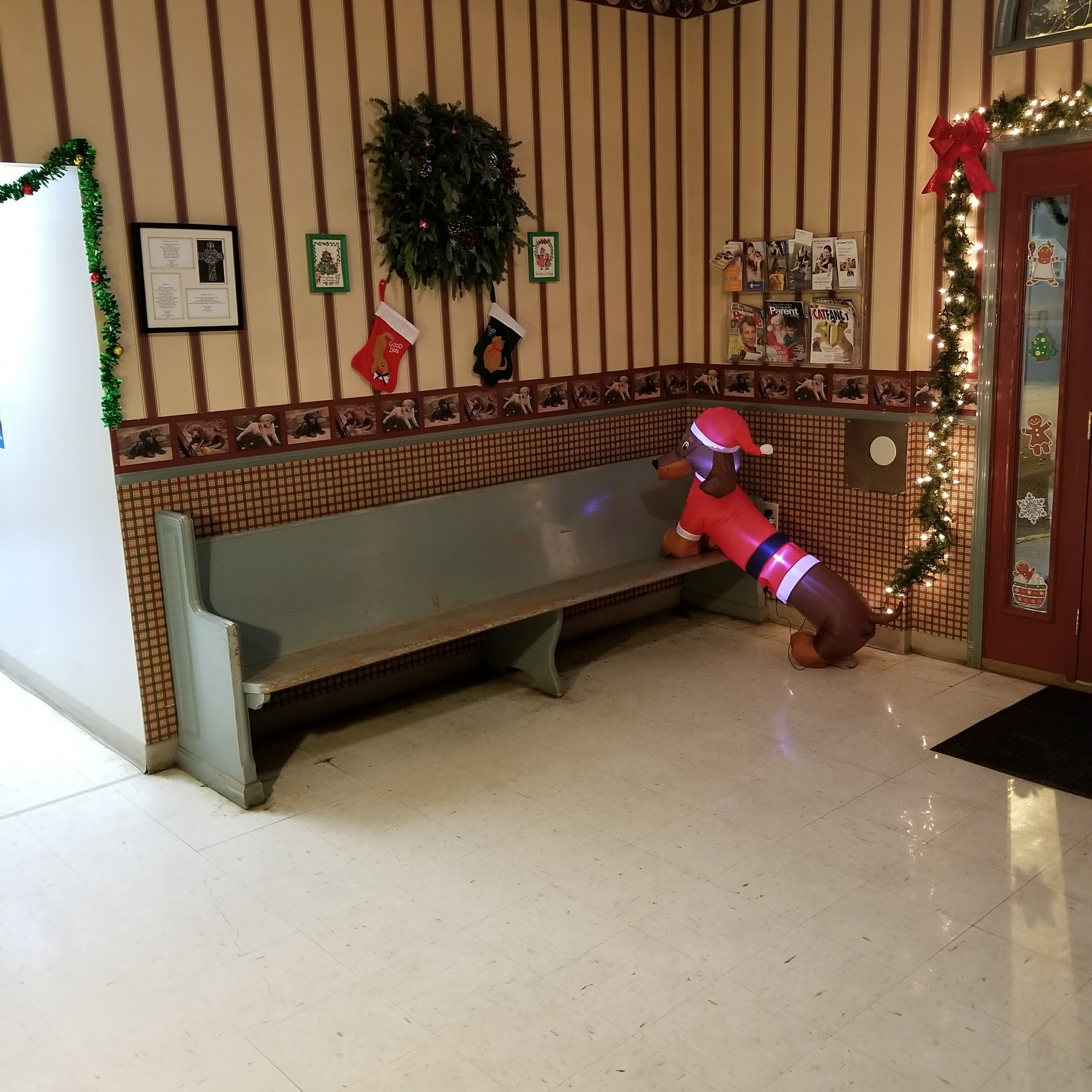 Shelby Animal Clinic Alabaster