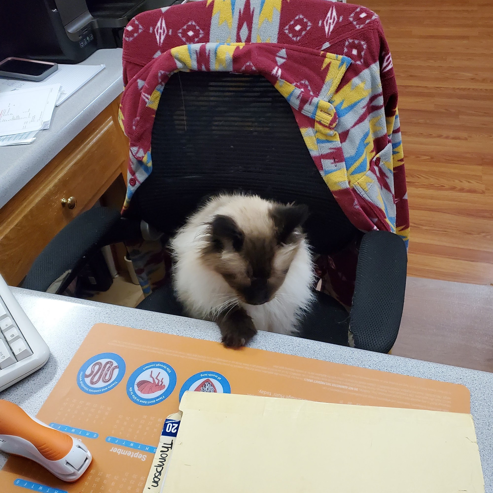 Weatherly Animal Hospital Alabaster