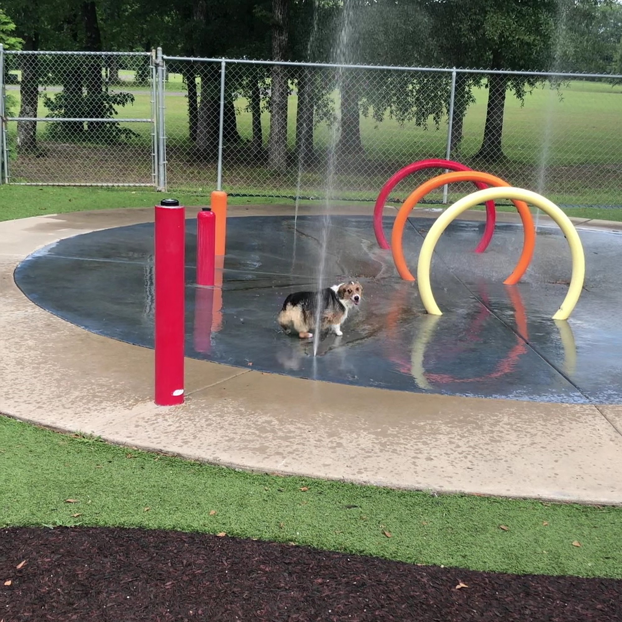 Beneful Dream Dog Park Alabaster