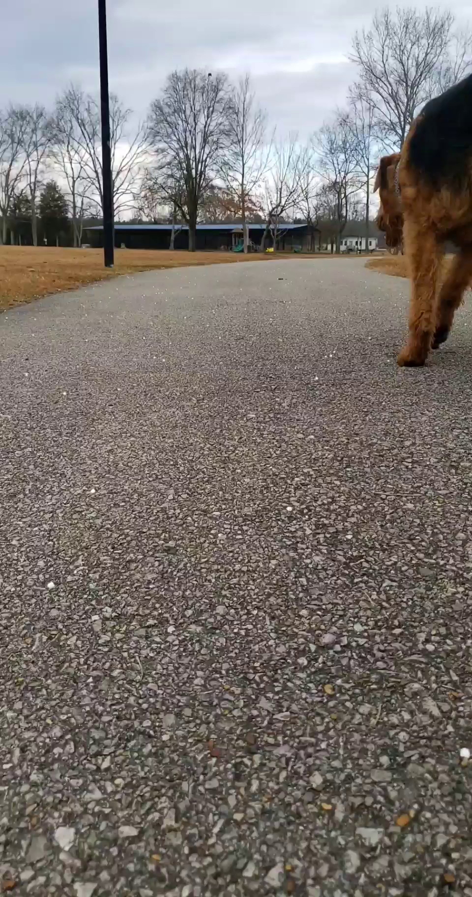 Beneful Dream Dog Park Alabaster