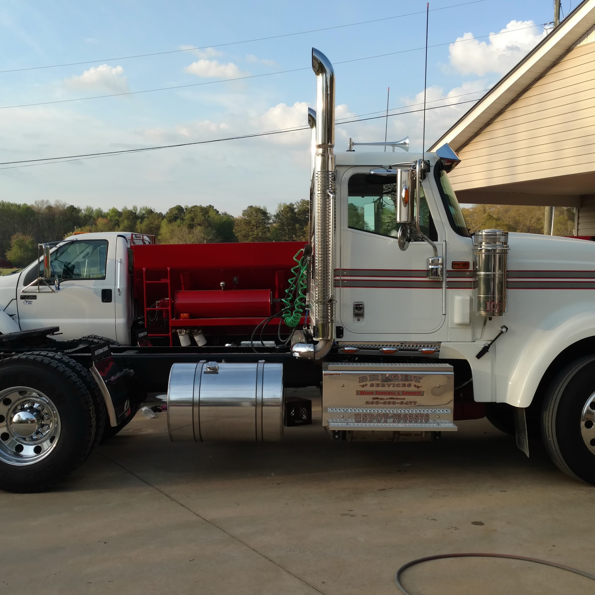 Bright Services Woodshavings Albertville