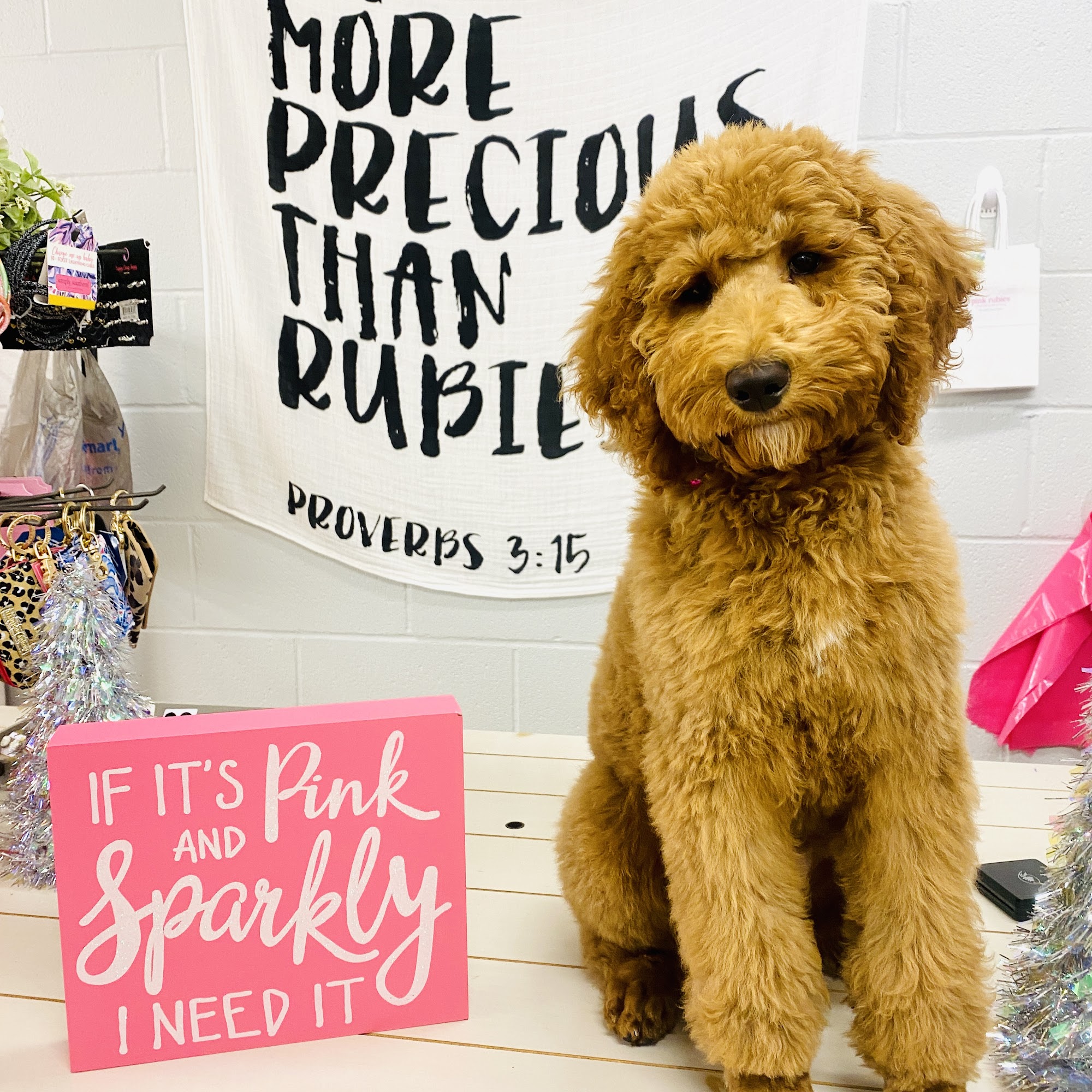 Pink Rubies Alexandria