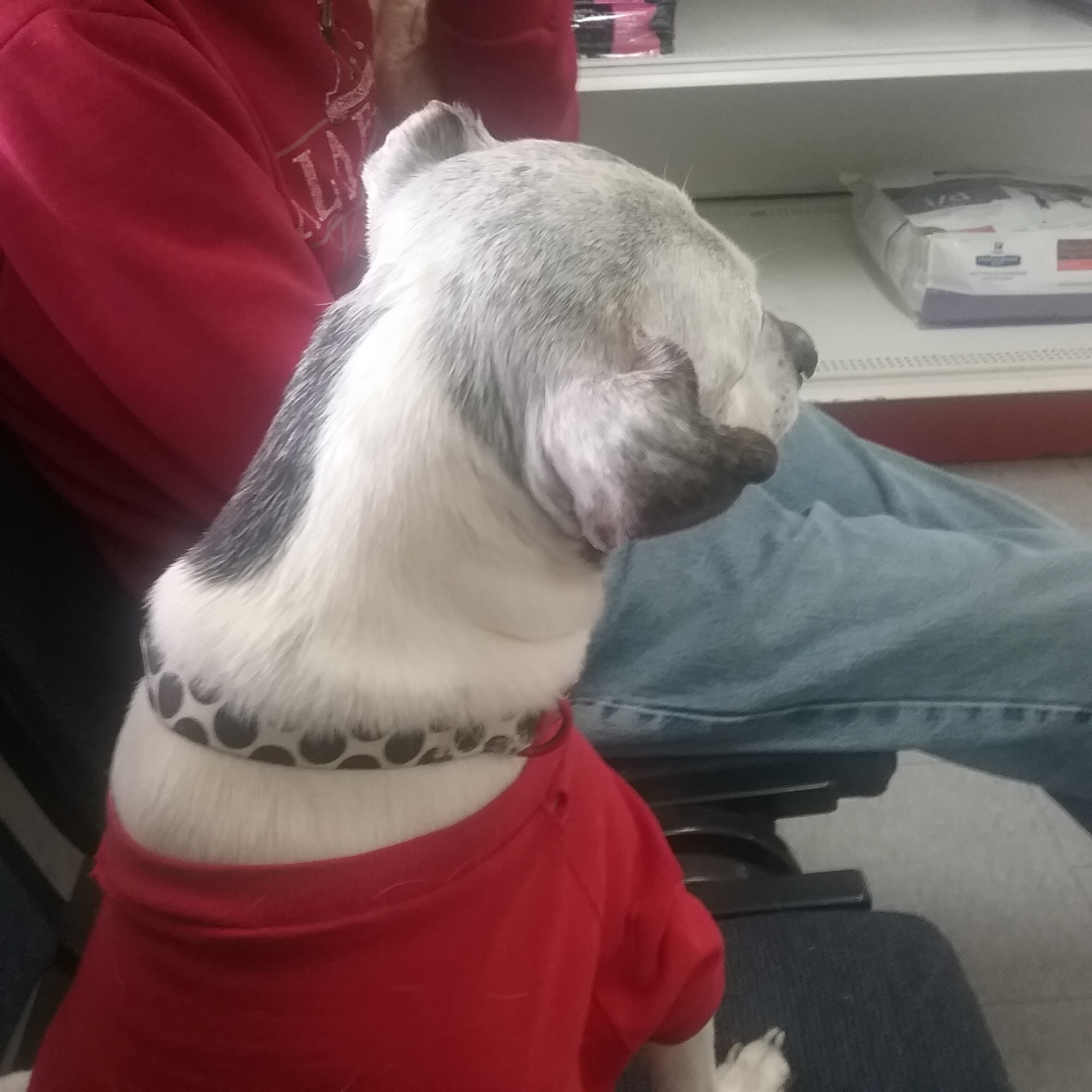 Rolling Hills Veterinary Services Anniston